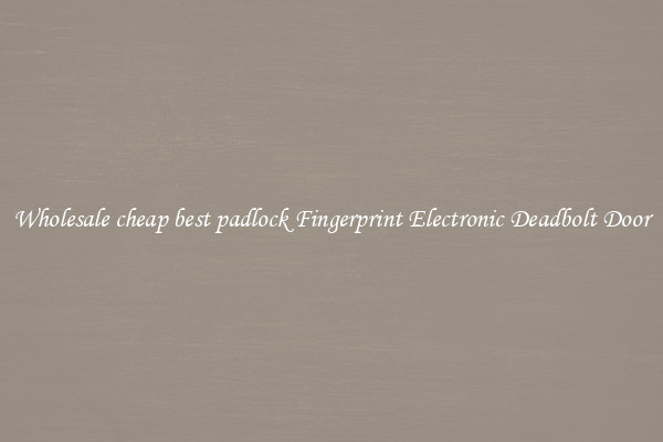 Wholesale cheap best padlock Fingerprint Electronic Deadbolt Door