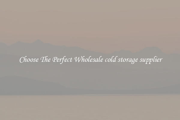 Choose The Perfect Wholesale cold storage supplier