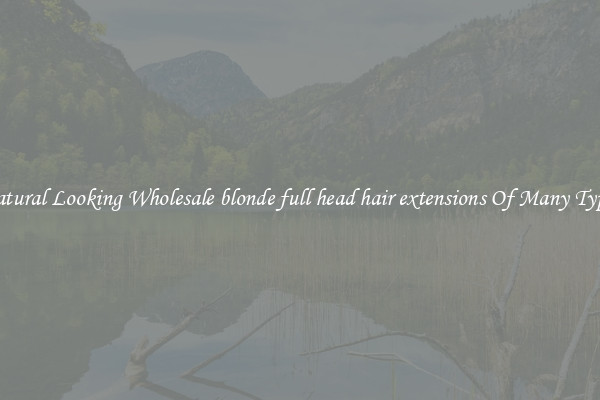 Natural Looking Wholesale blonde full head hair extensions Of Many Types