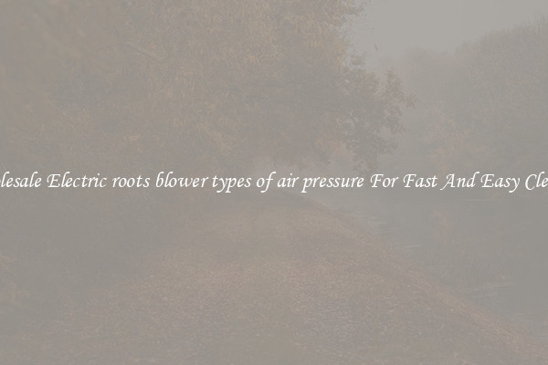 Wholesale Electric roots blower types of air pressure For Fast And Easy Cleanup
