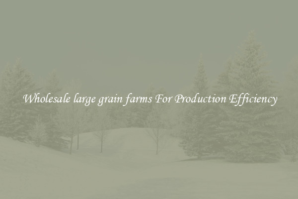Wholesale large grain farms For Production Efficiency