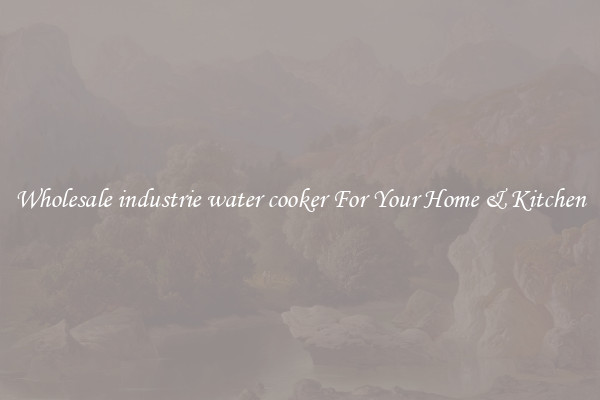 Wholesale industrie water cooker For Your Home & Kitchen