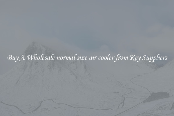Buy A Wholesale normal size air cooler from Key Suppliers