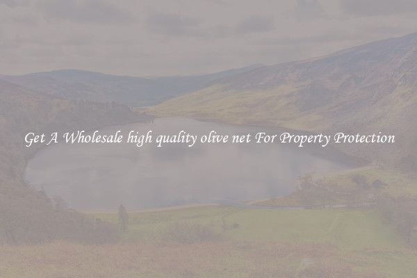 Get A Wholesale high quality olive net For Property Protection