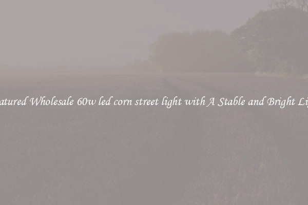 Featured Wholesale 60w led corn street light with A Stable and Bright Light