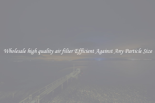 Wholesale high quality air filter Efficient Against Any Particle Size