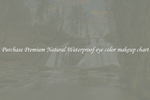 Purchase Premium Natural Waterproof eye color makeup chart