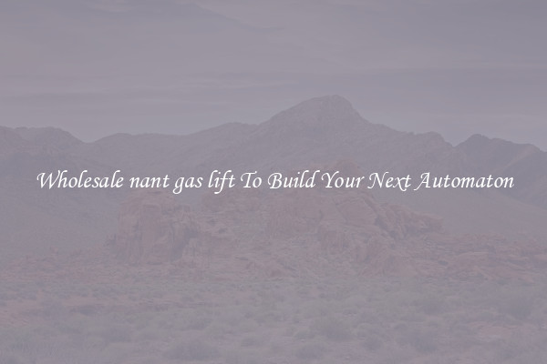 Wholesale nant gas lift To Build Your Next Automaton