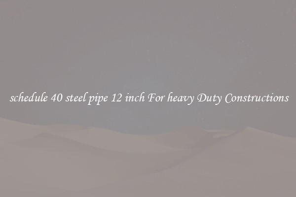 schedule 40 steel pipe 12 inch For heavy Duty Constructions