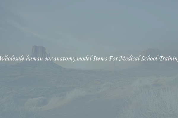 Wholesale human ear anatomy model Items For Medical School Training