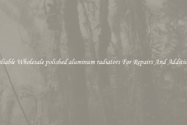 Reliable Wholesale polished aluminum radiators For Repairs And Additions