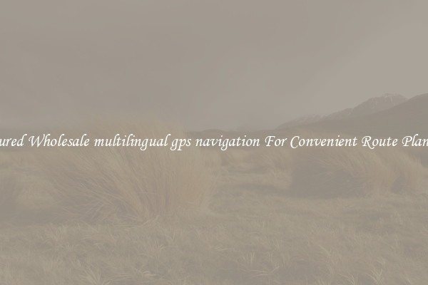 Featured Wholesale multilingual gps navigation For Convenient Route Planning 