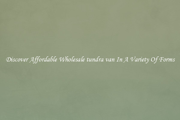 Discover Affordable Wholesale tundra van In A Variety Of Forms