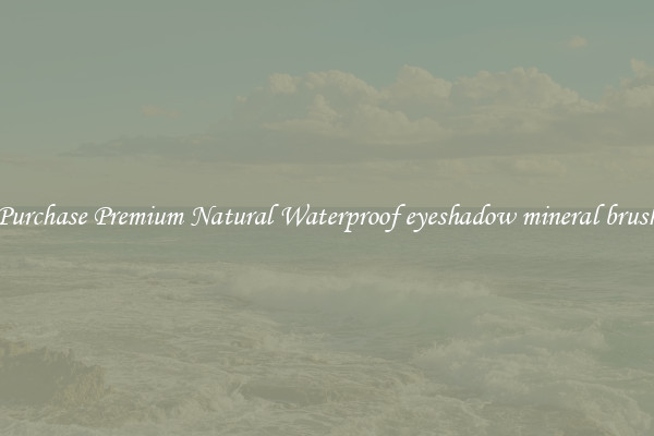 Purchase Premium Natural Waterproof eyeshadow mineral brush