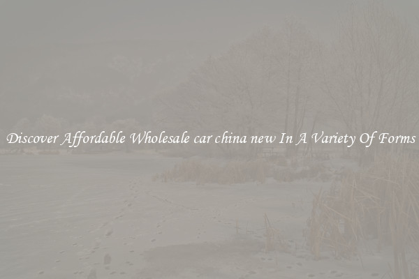Discover Affordable Wholesale car china new In A Variety Of Forms