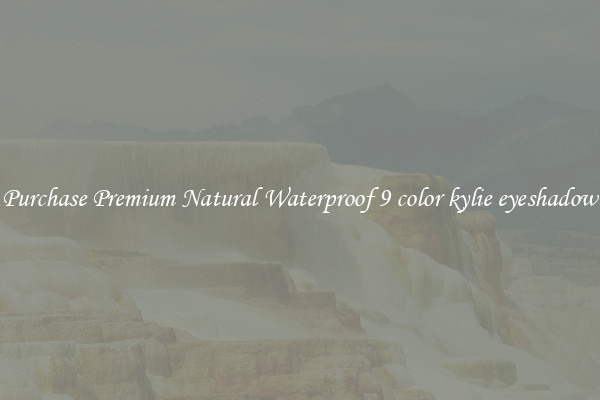 Purchase Premium Natural Waterproof 9 color kylie eyeshadow