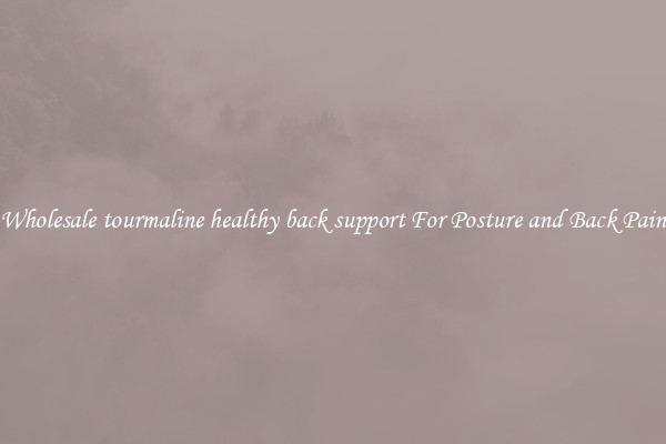 Wholesale tourmaline healthy back support For Posture and Back Pain