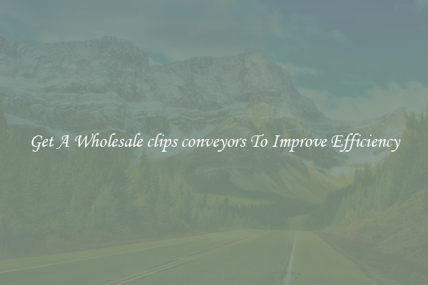 Get A Wholesale clips conveyors To Improve Efficiency