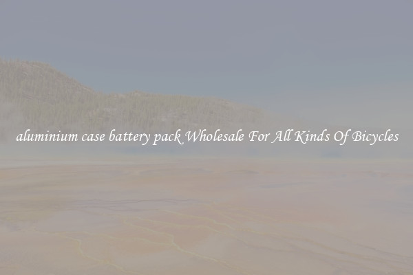 aluminium case battery pack Wholesale For All Kinds Of Bicycles