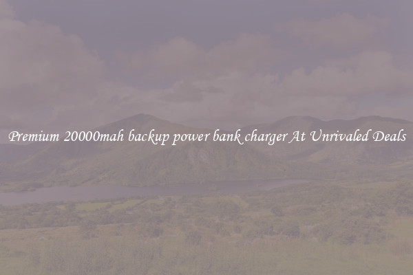 Premium 20000mah backup power bank charger At Unrivaled Deals