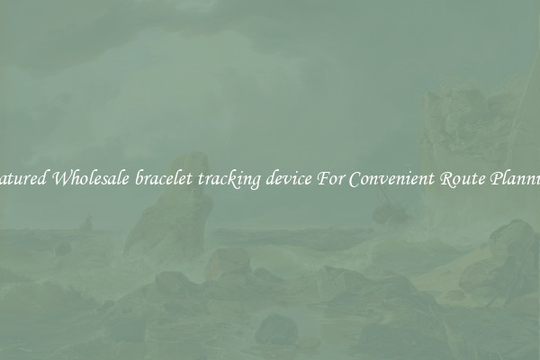Featured Wholesale bracelet tracking device For Convenient Route Planning 