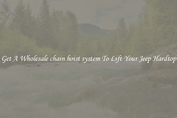 Get A Wholesale chain hoist system To Lift Your Jeep Hardtop