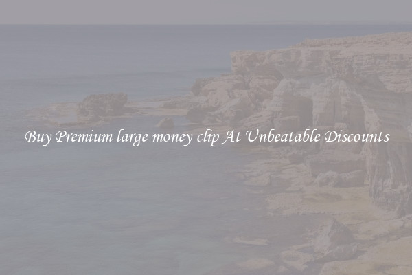 Buy Premium large money clip At Unbeatable Discounts