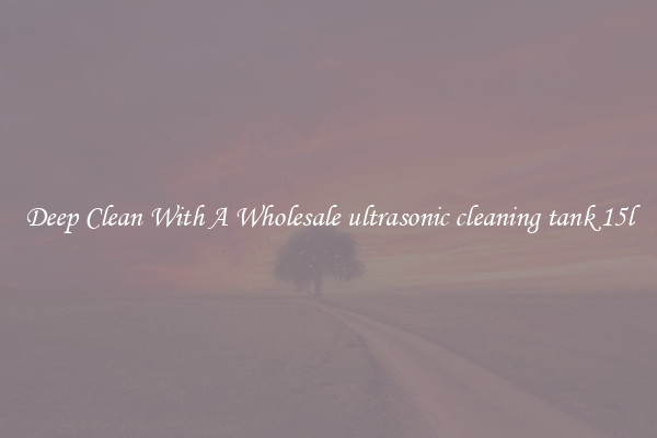 Deep Clean With A Wholesale ultrasonic cleaning tank 15l