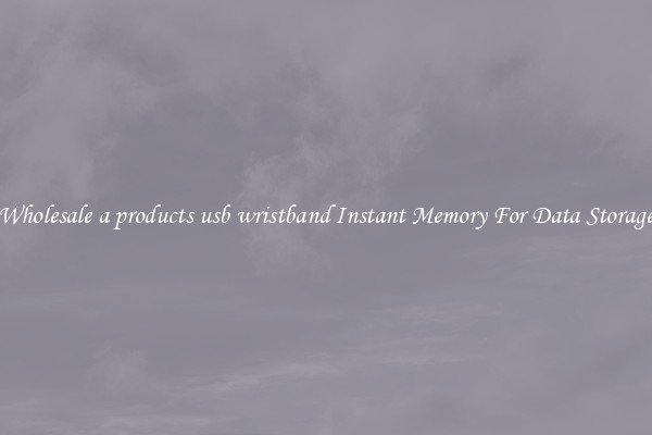 Wholesale a products usb wristband Instant Memory For Data Storage