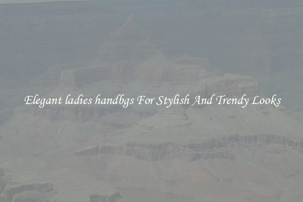 Elegant ladies handbgs For Stylish And Trendy Looks