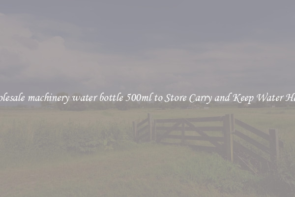 Wholesale machinery water bottle 500ml to Store Carry and Keep Water Handy
