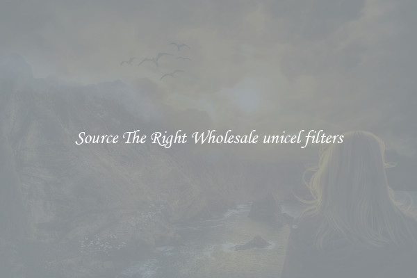 Source The Right Wholesale unicel filters