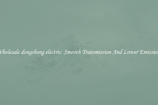Wholesale dongsheng electric: Smooth Transmission And Lower Emissions